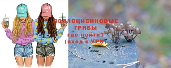 спиды Каменск-Шахтинский