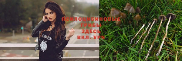 спиды Каменск-Шахтинский