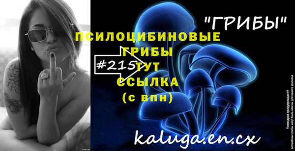 спиды Каменск-Шахтинский
