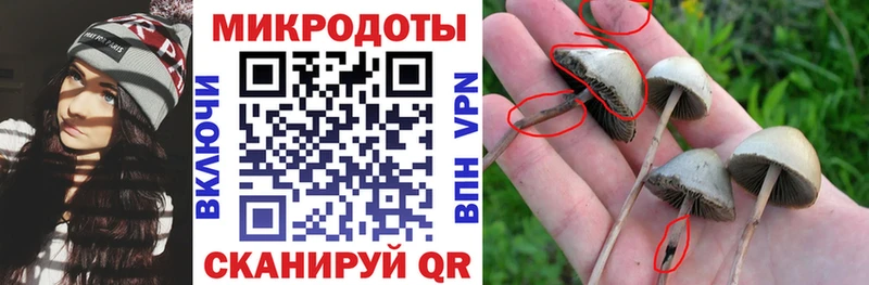 Галлюциногенные грибы Psilocybe  Купить  Куйбышев 